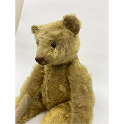 Early 20th century German teddy bear c1920, probably Steiff or Bing, with wood wool filled humped back golden mohair body, swivel jointed head with glass eyes and brown vertically stitched nose and mouth, jointed limbs with elongated arms and felt paw pads with black stitched claws H18