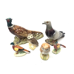  Six Beswick birds comprising a model of a Pigeon no. 1383, Pheasant no. 1226, two small Pheasants and two small Owls (6)  