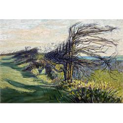 Deryck Stephen Crowther (Northern British 1922-2007): Windswept Trees, oil on canvas signed and dated 1962, 62cm x 90cm