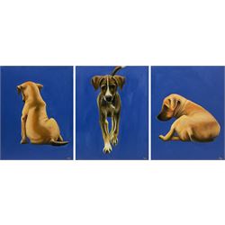 Peter J Bailey (British 1951-): 'Salt Pepper & Mustard', triptych oil on canvas signed with initials each canvas 50cm x 40cm (3)