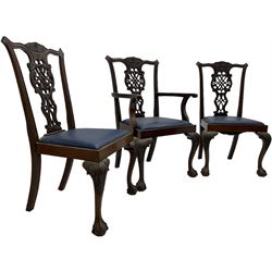 Set of six (5+1) Chippendale design mahogany dining chairs, shaped cresting rail over pierced splat with elaborately carved foliate and scrolling decoration, over drop-in upholstered seats, raised on cabriole supports with scrolled acanthus carved knees and ball and claw carved terminals