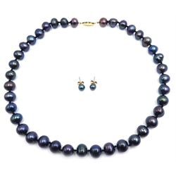  Single strand blue/grey pearl necklace with gold clasp stamped 14K and a similar pair ear-rings  