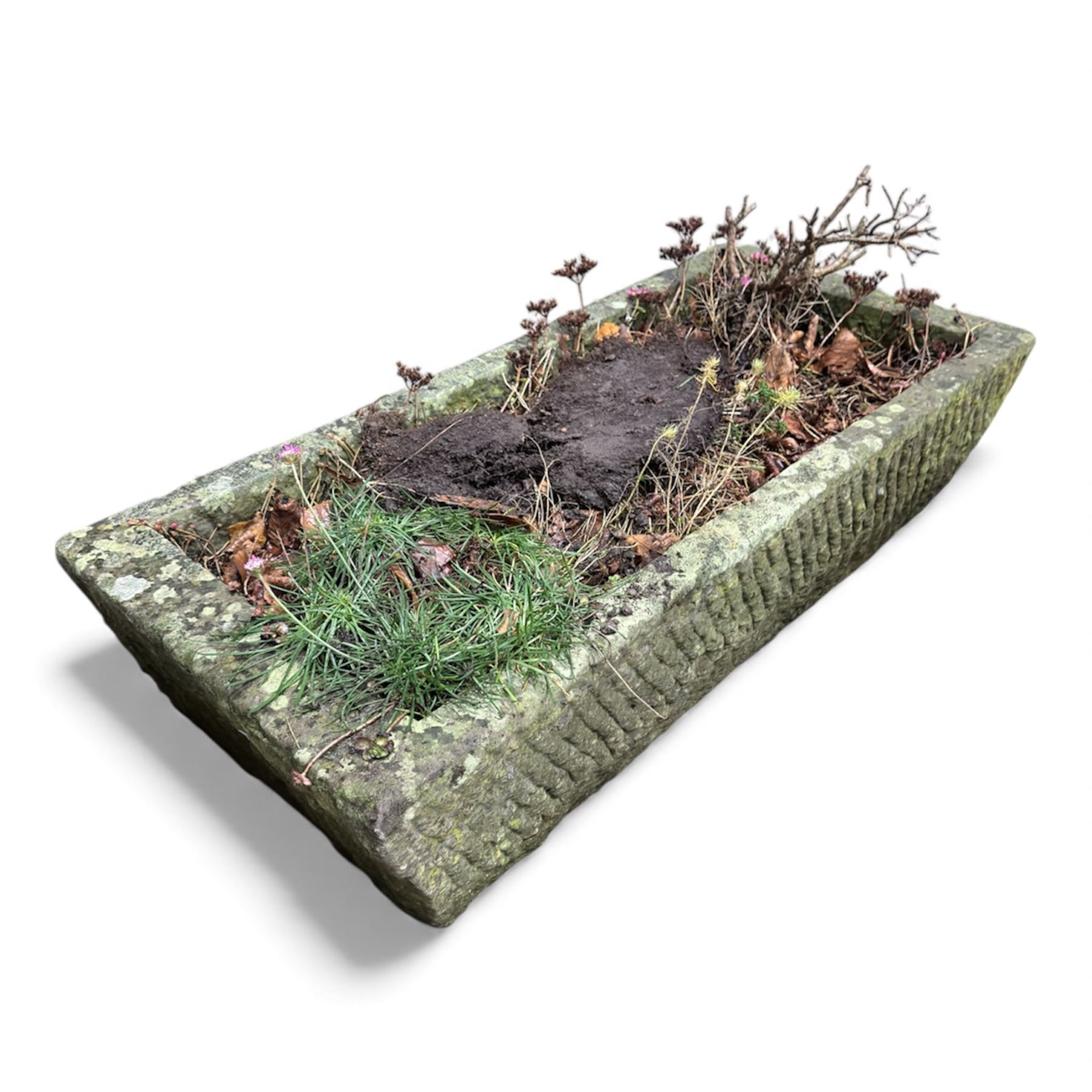 19th century stone trough, planted