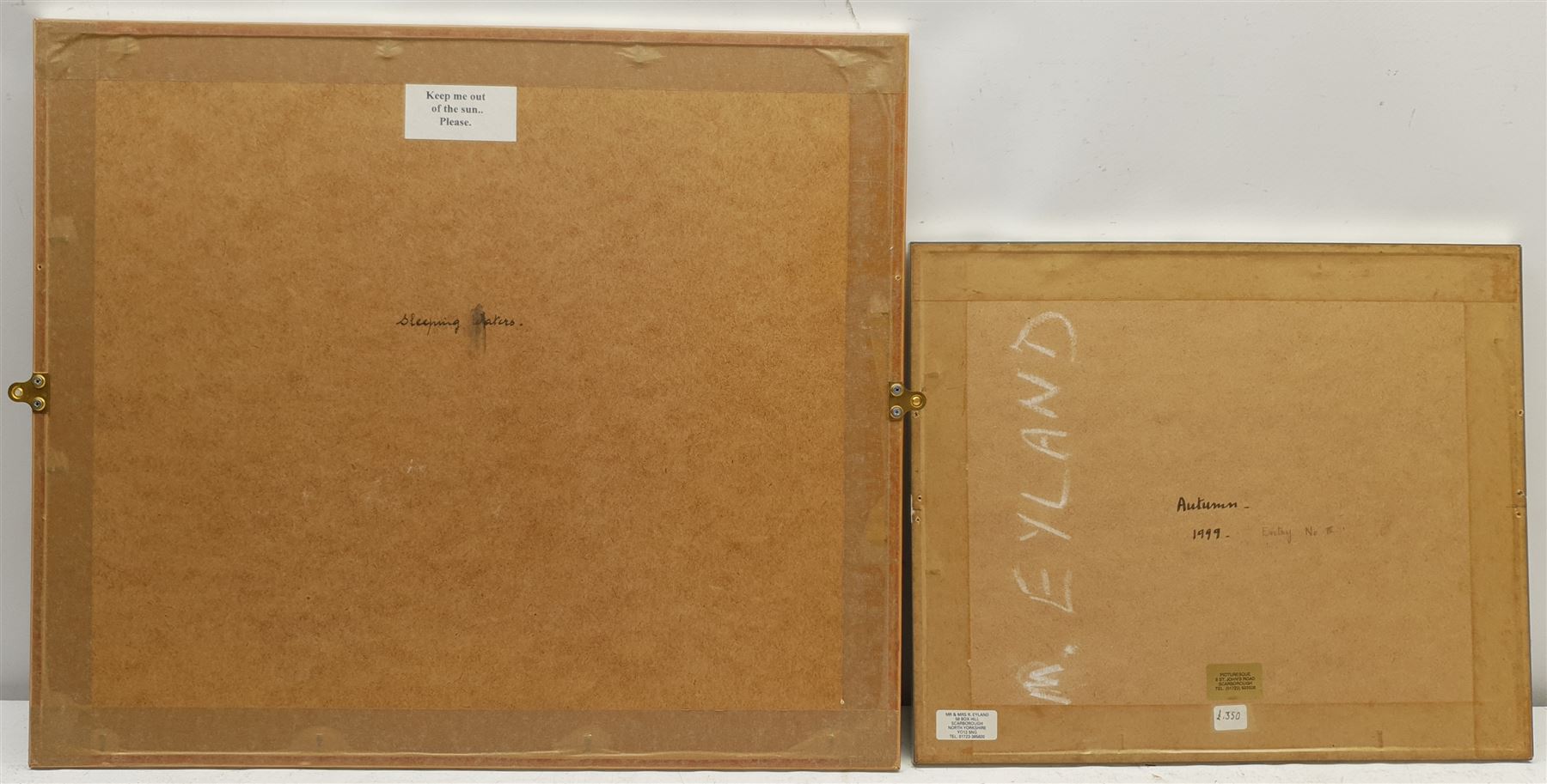 Madeleine Eyland (Belgian/British 1930-2021): 'Sleeping Waters' and 'Autumn', two pastels signed, one dated '99, titled verso 34cm x 42cm and 19cm x 26cm (2) 
Provenance: artist's studio collection. Marie-Madeleine Eyland (neé Legrain) was born in 1930 at Floriffoux, Belgium; she lived most of her life in Scarborough working as a nurse and an artist.