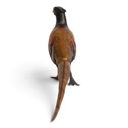 Cold painted bronze figure, modelled as an art deco style pheasant, H16cm, L30cm