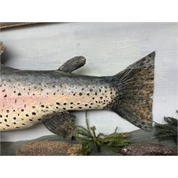 Taxidermy: Rainbow trout (Oncorchynchus mykiss), skin mount set above a pebbled river bed with reeds and grasses, set against blue painted back drop, H34cm, L88cm