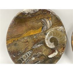 Pair of oval dishes, with a raised Goniatite to the side, Orthoceras and Goniatites inclusion, D12cm 