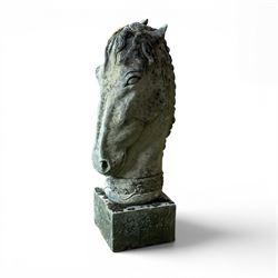 Large weathered cast stone horse head figure, raised on square plinth