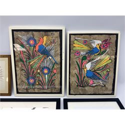 Mexican School (20th century): Birds of Paradise, pair Amate bark paintings together with four further pictures of birds max 31cm x 23cm (6)