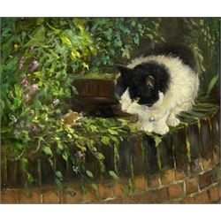 Iris Collett (British 1938-): Cat on a Wall Top, oil on board signed 43cm x 51cm
Provenance: from the second and final part of the artist's studio sale collection