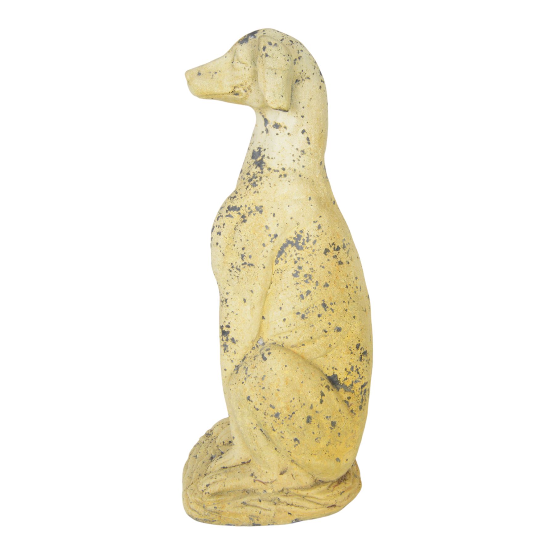 Pair of composite seated greyhound statues, H62cm 