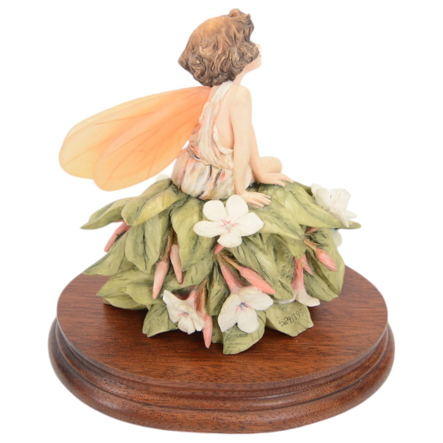 Nine Border Fine Arts Fairies figures, to include Jasmine fairy B0415, The White Bindweed Fairy CF26, Holly Fairy B0417,Wild Cherry Fairy CF25, Strawberry Fairy B0115, The Wind-Flower Fairy B0847, and Narcissus Flower Fairy CF24