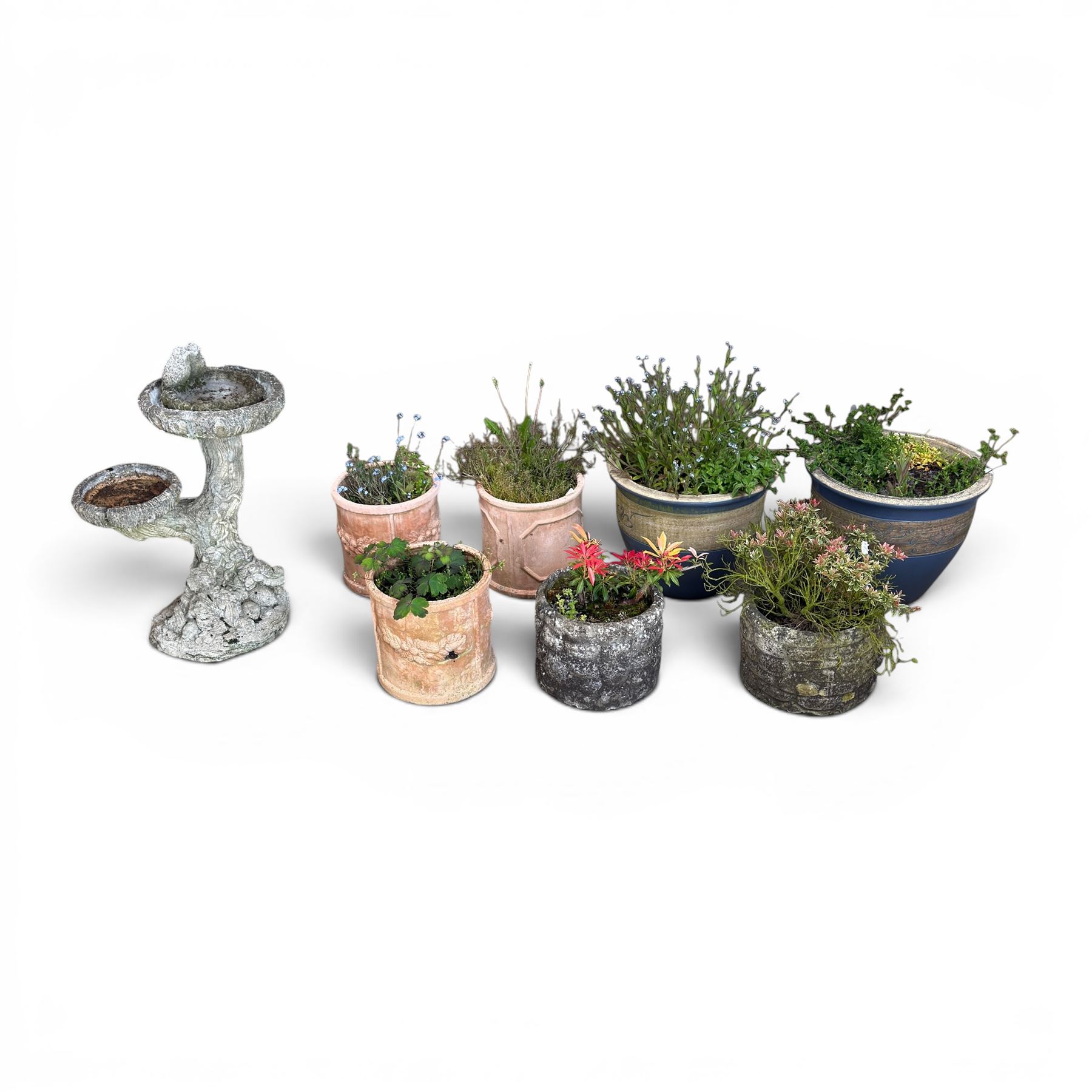 Pair of terracotta circular planters, bark design cast stone two branch bird bath, two small circular stone planters, and three composite circular planters (8)