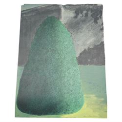 Ivor Abrahams (British 1935-2015): 'Suburban Shrubs I & II', pair lithographs signed dated '72 and numbered AP and 6/30 in pencil 83cm x 62cm (2) (unframed)