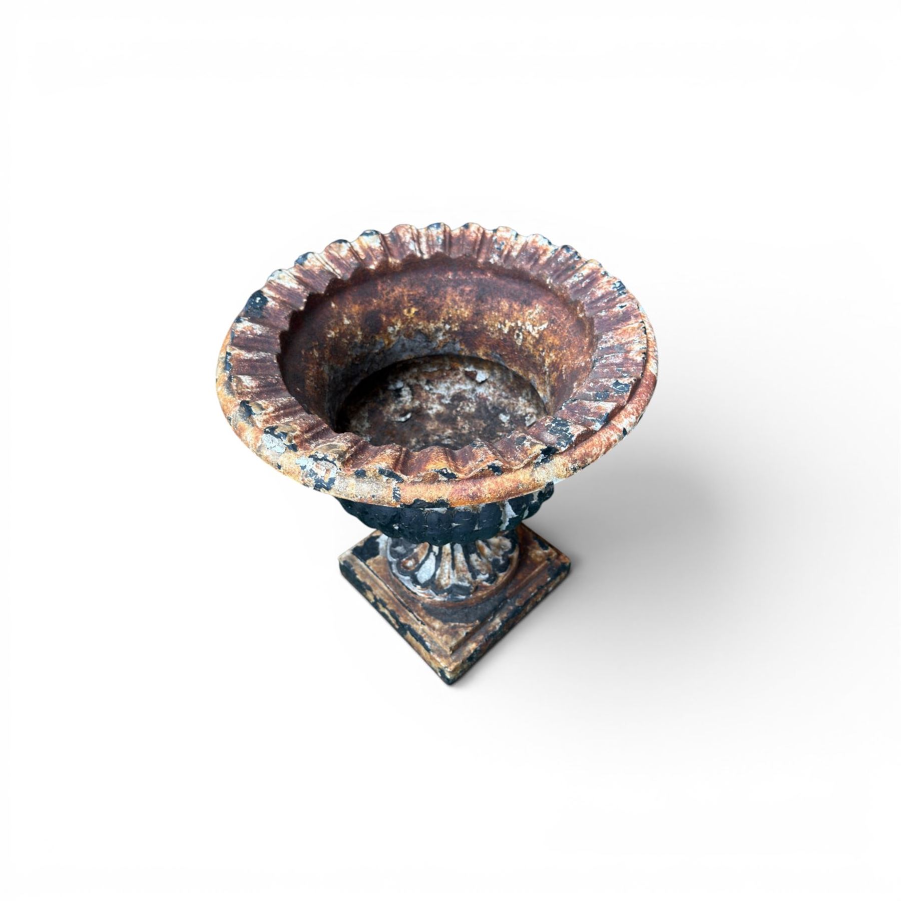 Circle of Coalbrookdale - 19th century cast iron and black painted campana shape urn with flared and scalloped rim, gadrooned underbelly on stepped square base