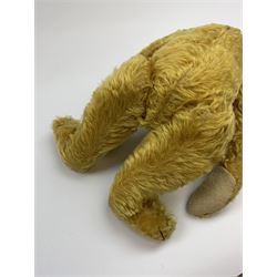 Early 20th century German teddy bear c1920, probably Steiff or Bing, with wood wool filled humped back golden mohair body, swivel jointed head with glass eyes and brown vertically stitched nose and mouth, jointed limbs with elongated arms and felt paw pads with black stitched claws H18