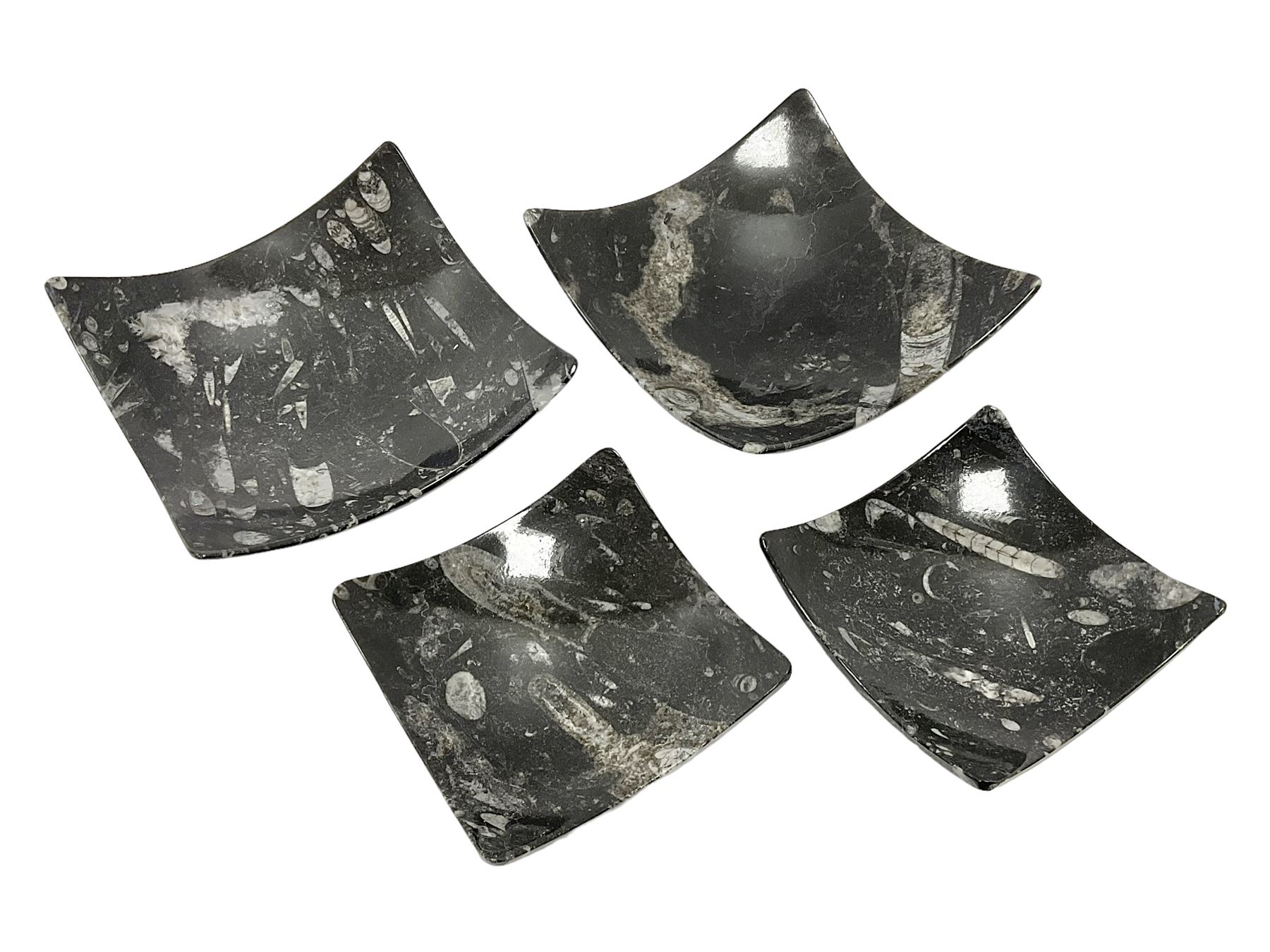 Set of four square dishes in two sizes, each with orthoceras and goniatite inclusions, age: Devonian period, location: Morocco, large dish D16cm