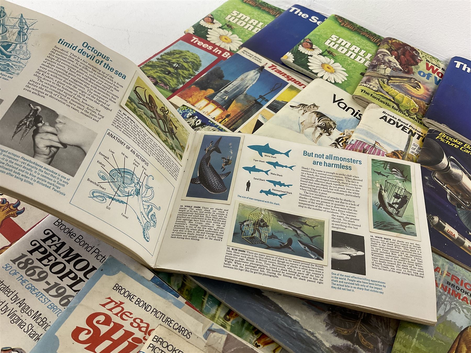 brooke bond tea cards, to include Small Wonders, The Sea- Our Other World, Wonders of Wildlife, The Race into Space, British Costumes etc 