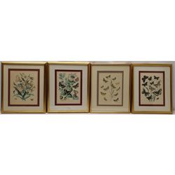 Botanical Studies, set six hand-coloured engravings, together with four further prints of birds, max 24cm x 17cm (10)