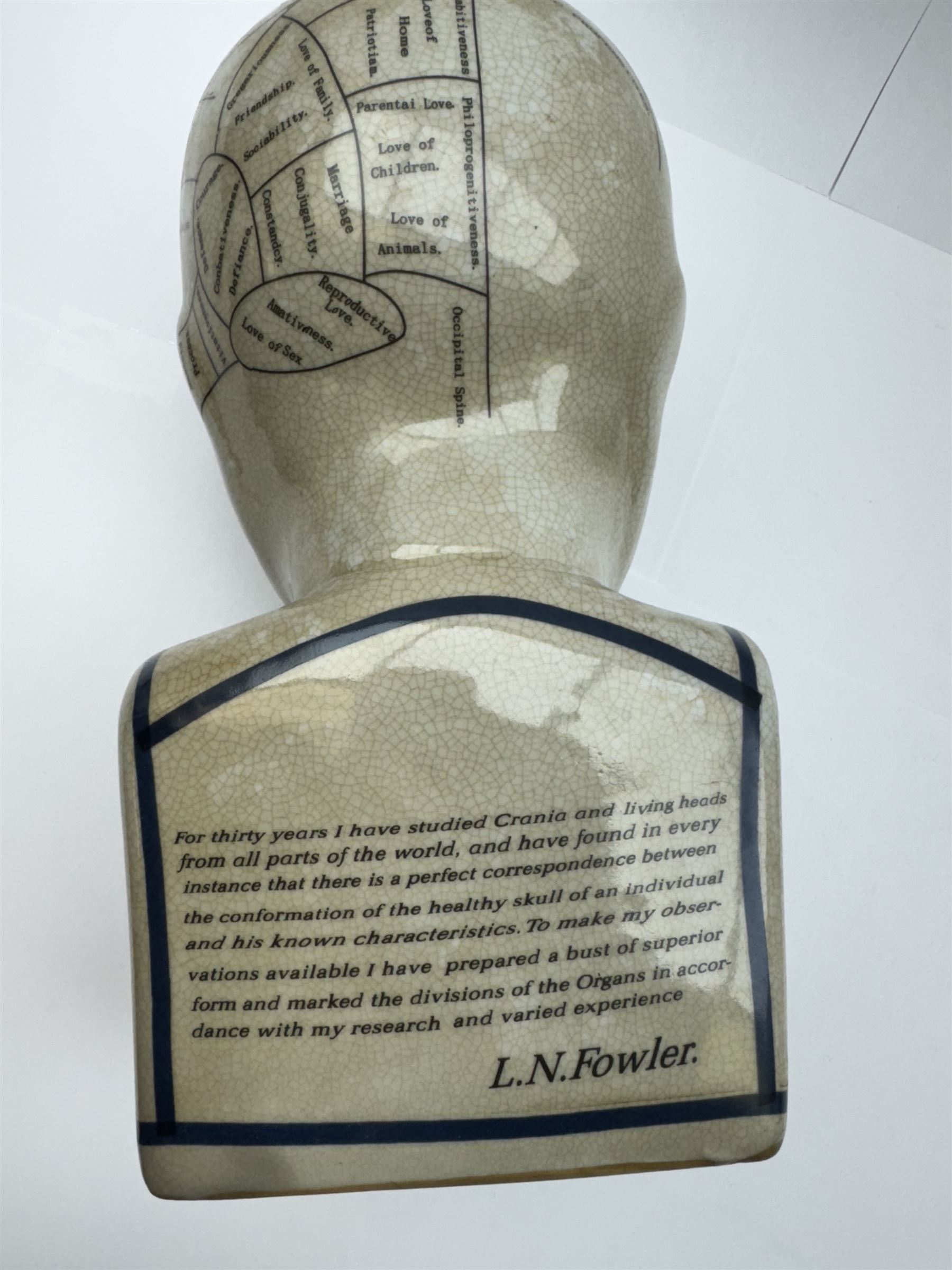 Phrenology head H29cm  and a Palmistry hand H28cm