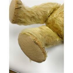 1930s teddy bear, possibly Farnell, with wood wool filled blond mohair body, the revolving head with original clear glass eyes, shaved muzzle with vertically stitched nose and mouth and jointed limbs with five-stitch claws H18.5