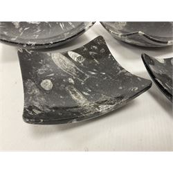 Set of four square dishes in two sizes, each with orthoceras and goniatite inclusions, age: Devonian period, location: Morocco, large dish D16cm