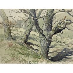 Herbert Rodmell (British 1913-1994): 'Oak Trees in Bransdale North Yorkshire, watercolour signed 34cm x 44cm
Provenance: Direct from the family of the artist.
