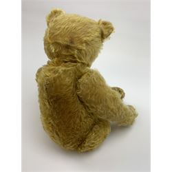 Early 20th century German teddy bear c1920, probably Steiff or Bing, with wood wool filled humped back golden mohair body, swivel jointed head with glass eyes and brown vertically stitched nose and mouth, jointed limbs with elongated arms and felt paw pads with black stitched claws H18