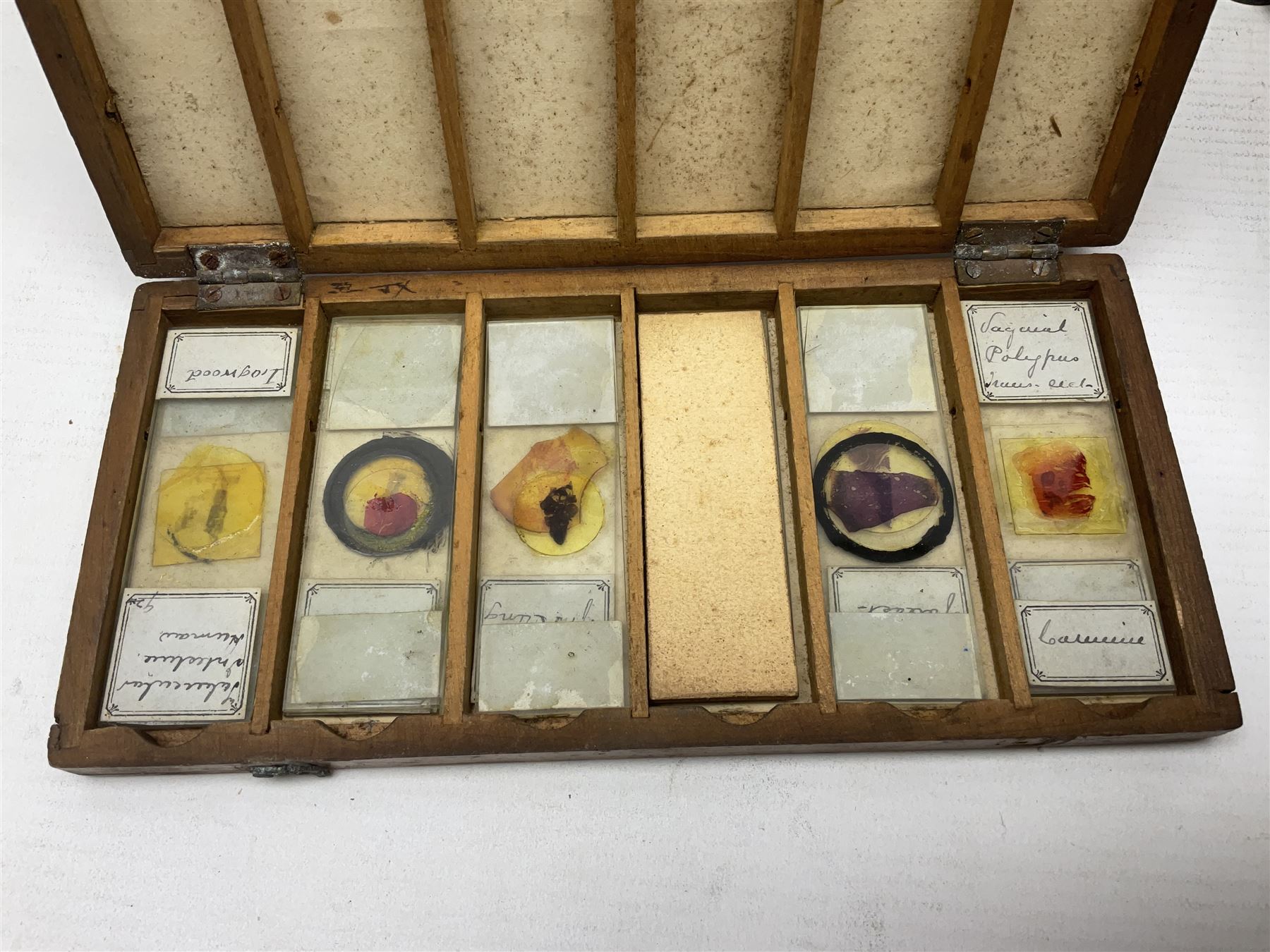 W. Watson & Sons Ltd lacquered brass compound microscope circa 1910, the back foot signed W. Watson & Sons Ltd, 313 High Holborn London and numbered 8193, together with a boxed collection of glass microscope biological sample slides