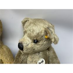 Steiff mohair teddy bear, together with an earlier straw filled teddy bear with joined limbs, (2)