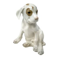 Royal Copenhagen figure of a pointer puppy, modelled seated with rare white and brown patch colourway, designed by Erik Nielsen, model no 259, date code for 1889-1922, with printed and painted marks beneath, H19cm