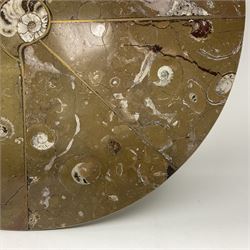 Circular limestone table top, with Orthoceras and Goniatite inclusions; age: Upper Devonian, location: Morocco, D45cm