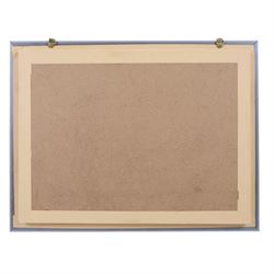 Entomology;  framed butterflies including Vidula sapor, Danidae, Cethosia Bibiis etc, H33cm, L43cm 
