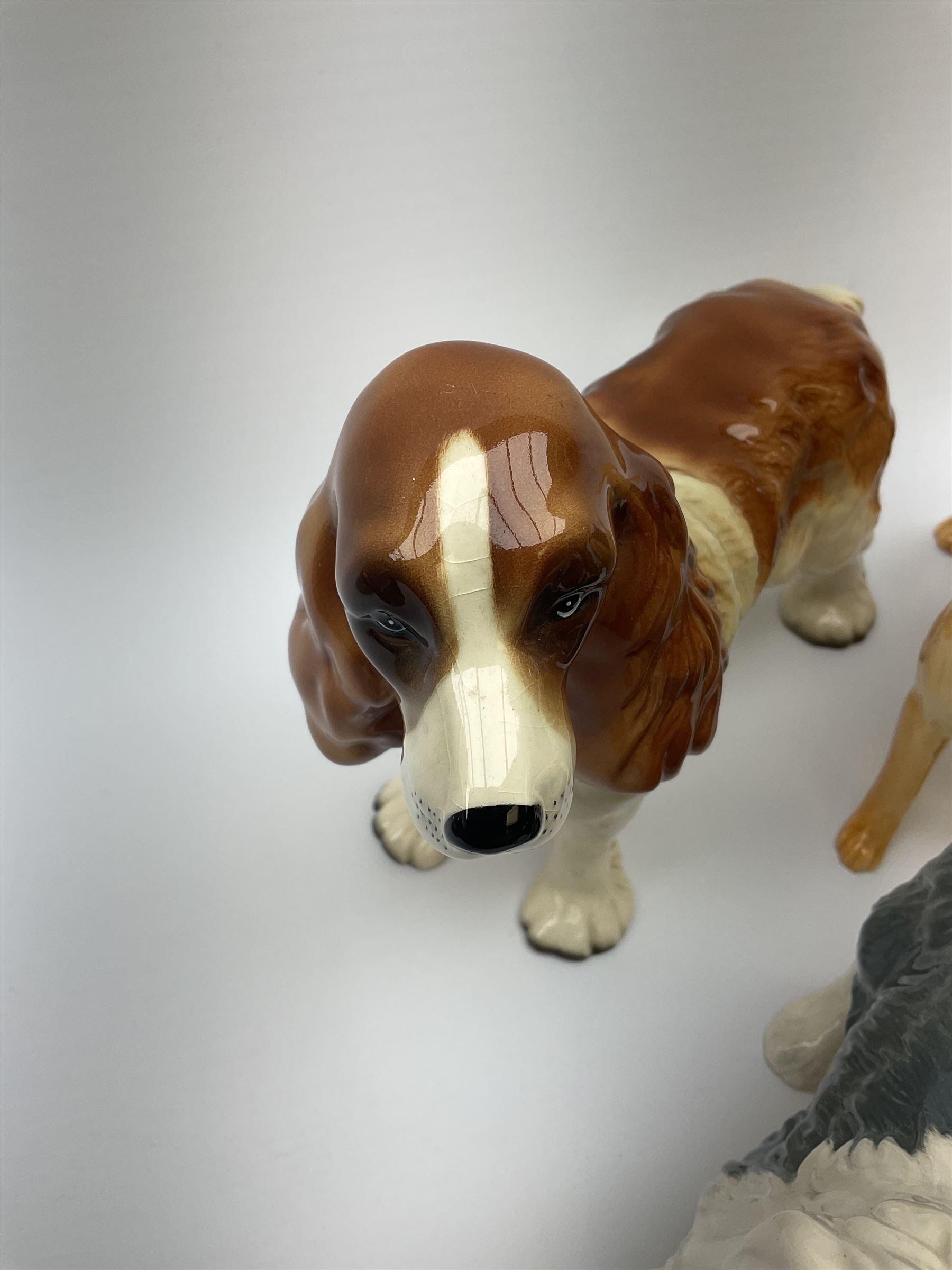 A group of Beswick dogs, to include Old English Sheepdog, Golden