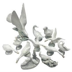  Lladro Turtle dove, together with six Lladro geese, and five other geese figures  