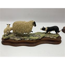 Two Border Fine Arts figure groups, comprising Black faced Ewe & Border Collie no B104 by Ray Ayres and To The Tup Sale, no JH72 limited edition 383/1850, both on wooden base, one with certificate
