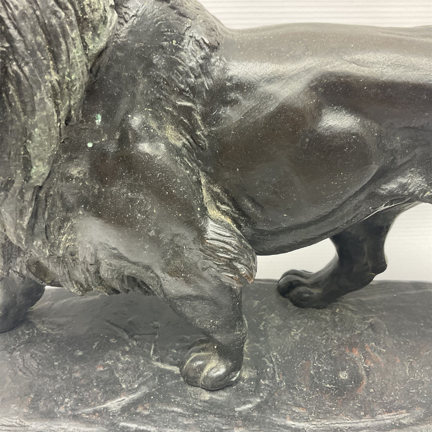 After Paul Edouard Delabrierre (French, 1829-1912), bronze, model of a lion, upon an oval base, signed E Delabrierre, overall H29.5cm, L46cm