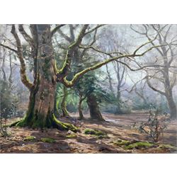 Frederick Golden Short (British 1863-1936): Sunlight in the Forest, oil on board signed and dated 1910, 22cm x 29cm