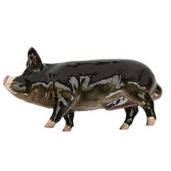 Three Beswick pigs, comprising Saddleback, Vietnamese and Berkshire Boar and a Wensleydale sheep 