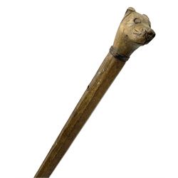 Walking cane with carved treen handle modelled as a dogs head, with pin eyes and pinned collar, L81cm

