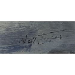 Neil Tyler (British 1945-): 'Spindrift', oil on board signed, titled verso 49cm x 69cm
