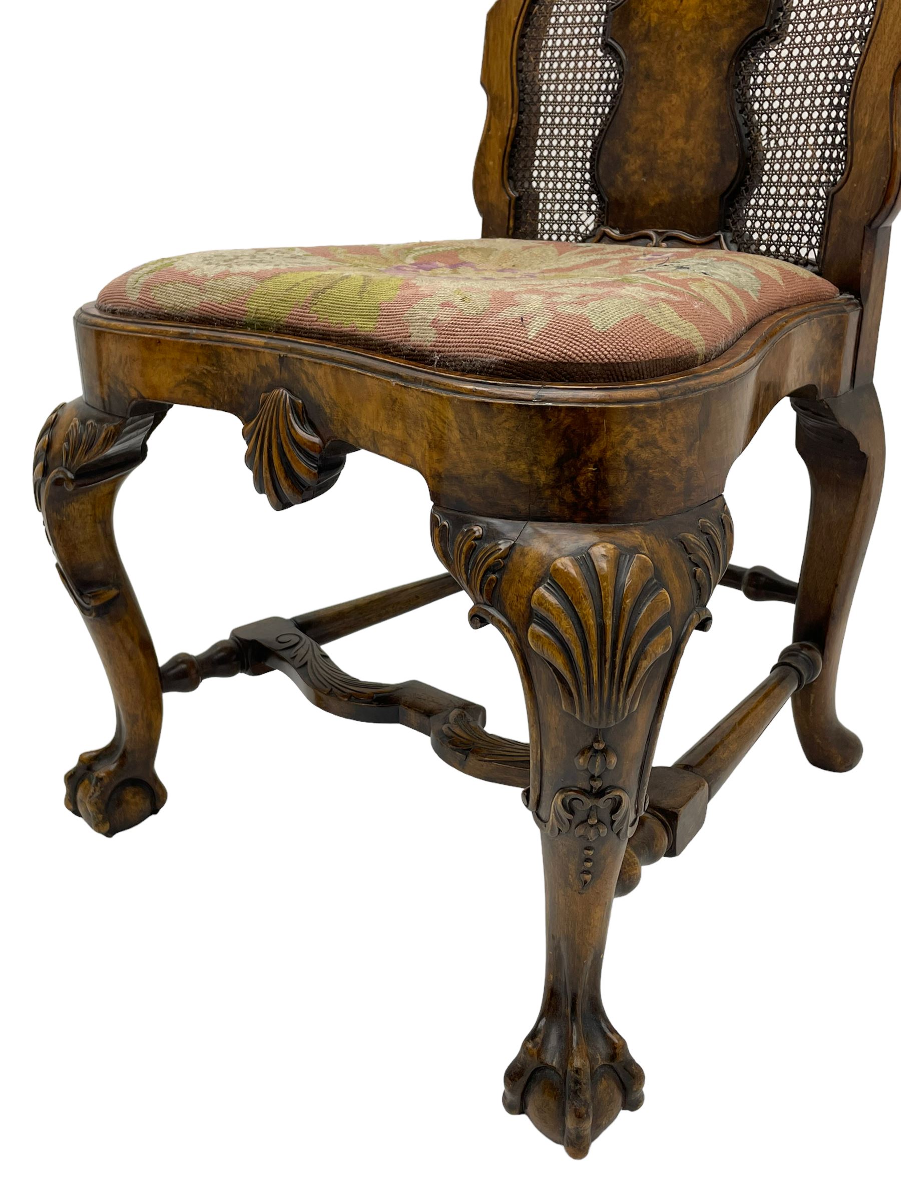 Pair of early 20th century Queen Anne design chairs, the cresting rail carved with scroll and central shell motif, shaped uprights and splat encased in cane work panels, shaped moulded seat frame with shell motif, floral needlework upholstered drop-in seat cushion, on shell carved cabriole supports with ball and claw feet, united by turned and shaped middle stretcher carved with acanthus leaf