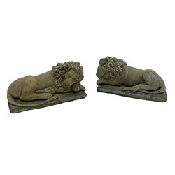 Pair of small cast stone sleeping lions, on rectangular moulded plinths