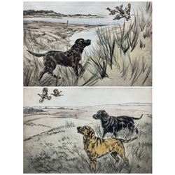 Henry Wilkinson (British 1921-2011): Labradors Chasing Pheasants, pair coloured drypoint etchings signed and numbered in pencil 25cm x 36cm (2)