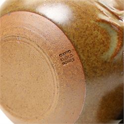 David Lloyd Jones (1928-1994): Three works, a large jug and two teapots, in typical brown glaze, each stamped, larger jug H39cm (3)