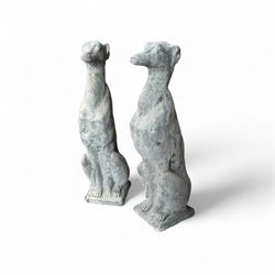 Pair of cast stone sitting greyhounds 