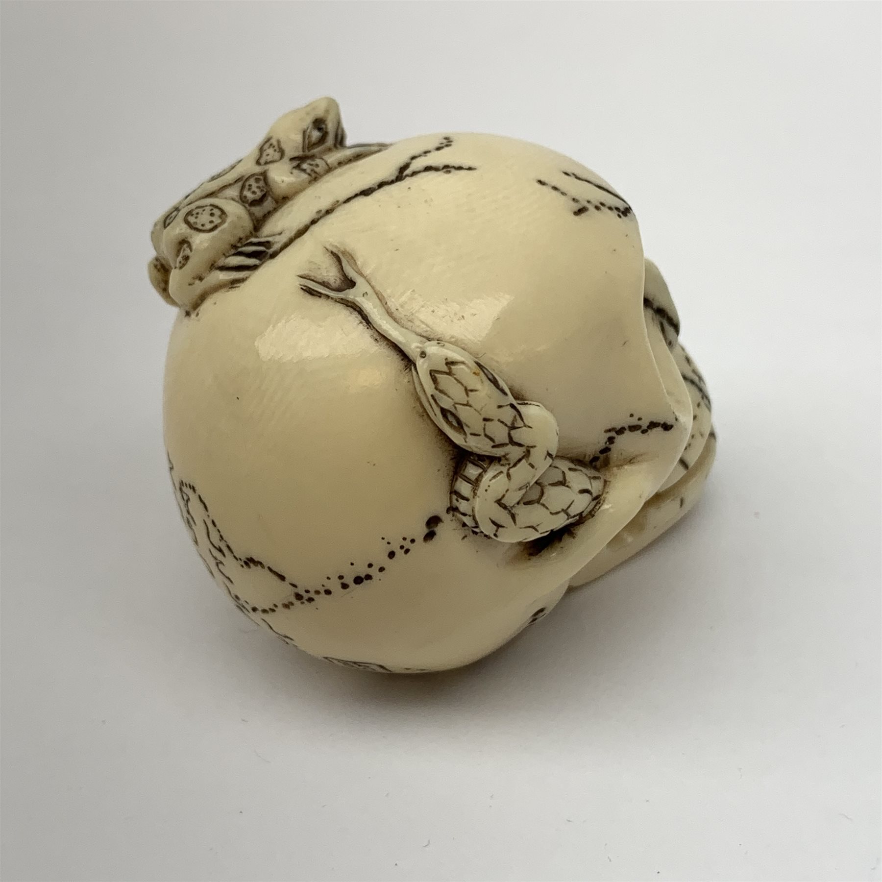 Japanese Meiji carved ivory netsuke, modelled as a skull, the top carved with two toads, and script and signature to reverse, L5cm, H4cm   