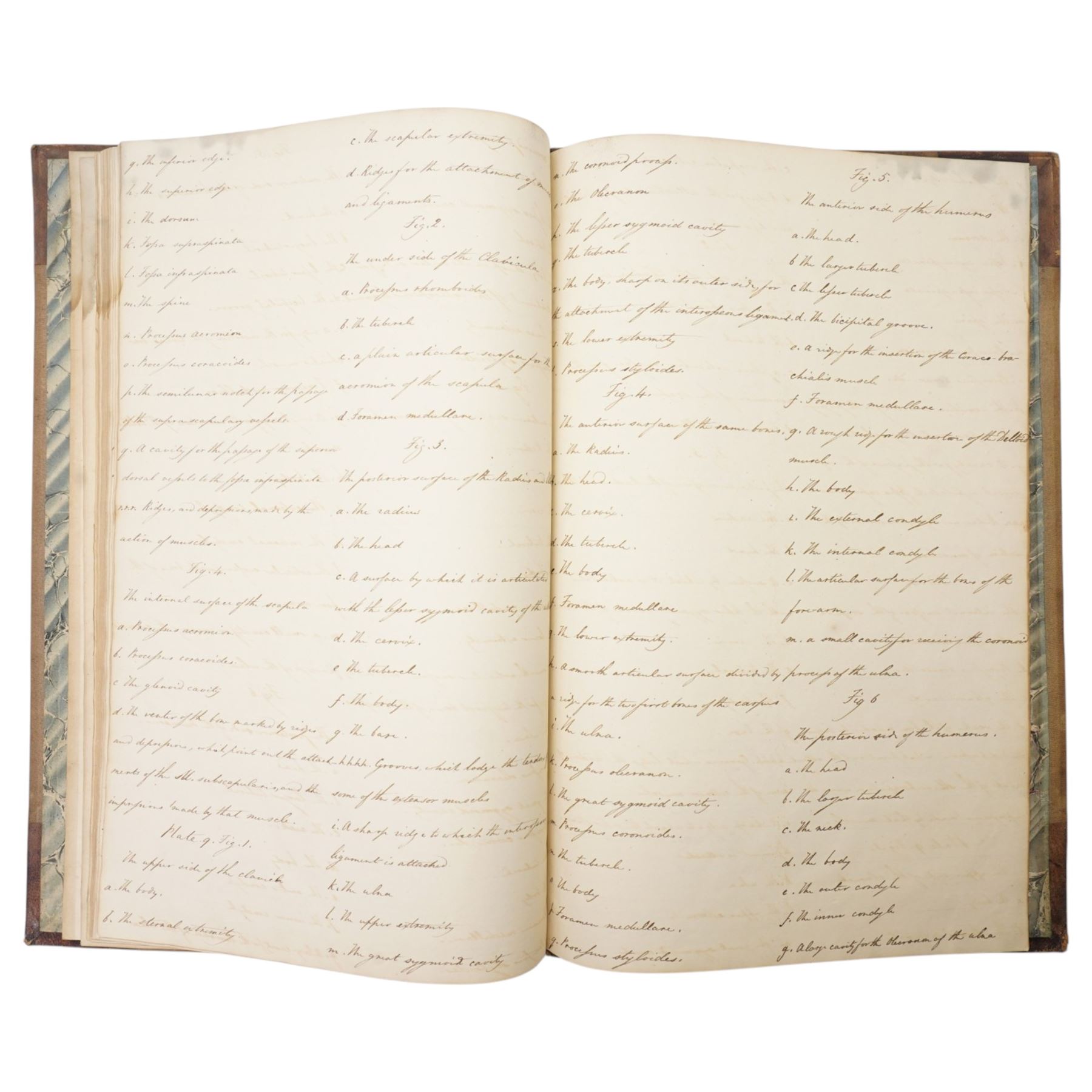 Thomas Hartley Cromek ANWS (British 1809-1873): The Human Skeleton Illustrated & Described 1827/1828, folio manuscript anatomical study album containing twelve pencil anatomical plates after nature with extensive handwritten descriptive text, original half-calf binding titled in gilt with marbled boards, with autograph inscription by Cromek dated Wakefield June 3rd 1859, and associated 1909 letter from J J Foster relating to the album’s provenance

Notes: 
Cromek is best known for his architectural and topographical watercolours, but his early anatomical work is documented. In 1827 he was commissioned by the Leeds surgeon Thomas Teale to produce detailed anatomical drawings, shortly before leaving for Italy in 1830.

The present album relates to this little-known early period. The binding is titled in gilt The Human Skeleton Illustrated & Described by T. H. Cromek, 1827, while Cromek’s autograph inscription, dated Wakefield June 3rd 1859, states that the drawings were made from nature in 1828 and submitted to Sir Astley Cooper, who praised them highly and wished Cromek to work for him as an anatomical draughtsman.

The album is accompanied by a letter dated 26th October 1909 from J. J. Foster, King William’s Hall, Durham, stating that he had in his possession a set of pencil drawings of the human skeleton and separate bones by T. H. Cromek, formerly in the possession of his late brother, James Foster, who had been in practice at Wakefield. The letter repeats the tradition that Sir Astley Cooper had described the drawings as the finest he had seen.

Sir Astley Cooper was one of the leading British surgeons of the early nineteenth century, associated with Guy’s Hospital and the Royal College of Surgeons.