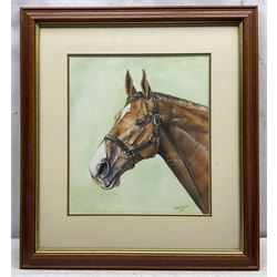 Edward McDaid (British 20th Century): 'Snowball's Chance', watercolour signed, titled verso 29cm x 38cm; Karl Avison (British 20th Century): A Chestnut Mare, watercolour signed and dated 1993, 37cm x 33cm (2)