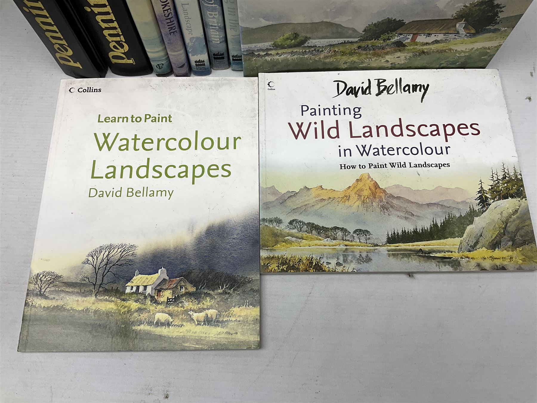 Eight books by David Bellamy on watercolour painting; and two bound volumes of Pennine Magazine 1981-84 (10)